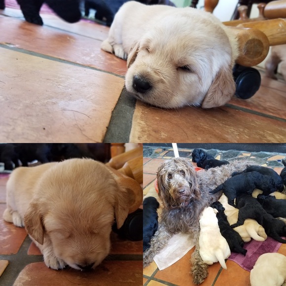 Meet your Posher, Kate - Picture 1 of 1